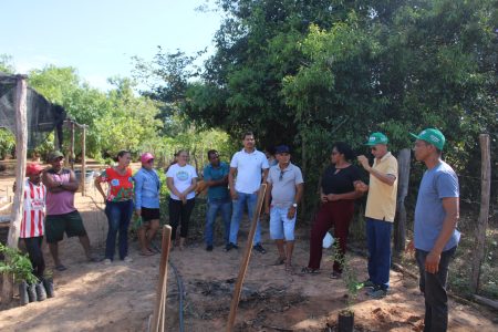 Prefeitura de Francinópolis realiza Dia de Campo com oficina sobre Fruticultura Irrigada